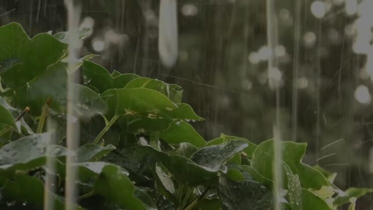 Raining in Puerto Rico