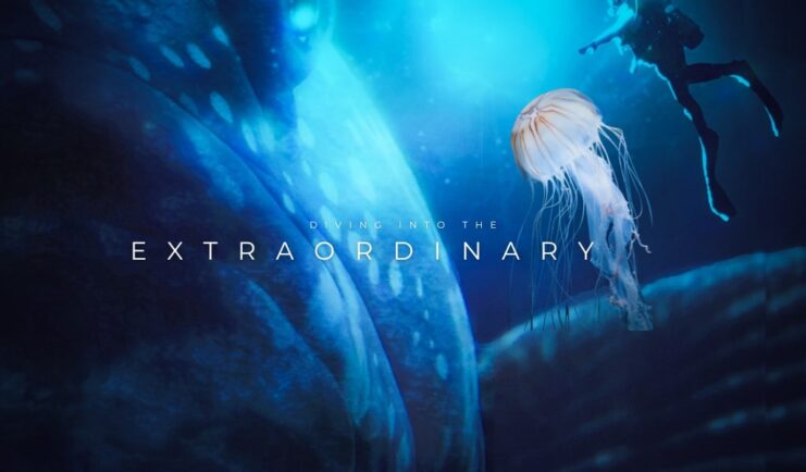 Diving into the Extraordinary